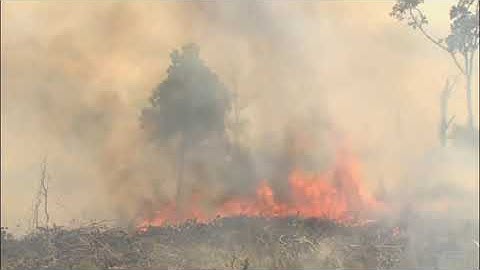 Pink Floyd - Take It Back (Extended Version)