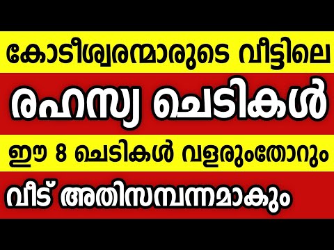 കൊടുംദാരിദ്ര്യത്തിൽനിന്നും സമ്പന്നതയിലേക്ക് എത്തിക്കുന്ന 8 രഹസ്യ ചെടികൾ Astrology