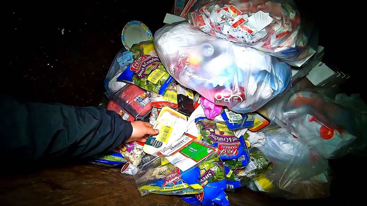 You Wont Believe The Waste Dumpster Diving For FREE FOOD YouTube
