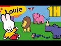 1 hora de Louie : Animales - Compilacion | Dibujos animados para niños