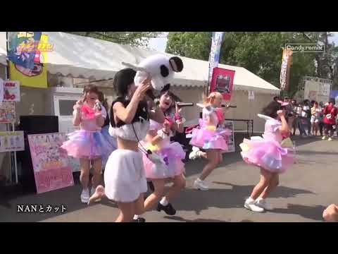 【FREEDOMNAGOYA2019 】 ナト☆カン/NANとカット【LIVEの模様をお届け】