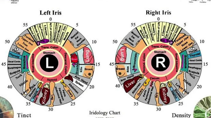 Iridology Special