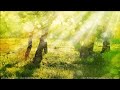 Beautiful relaxing music for stress relief  calming music  meditation  sleep  ambient study
