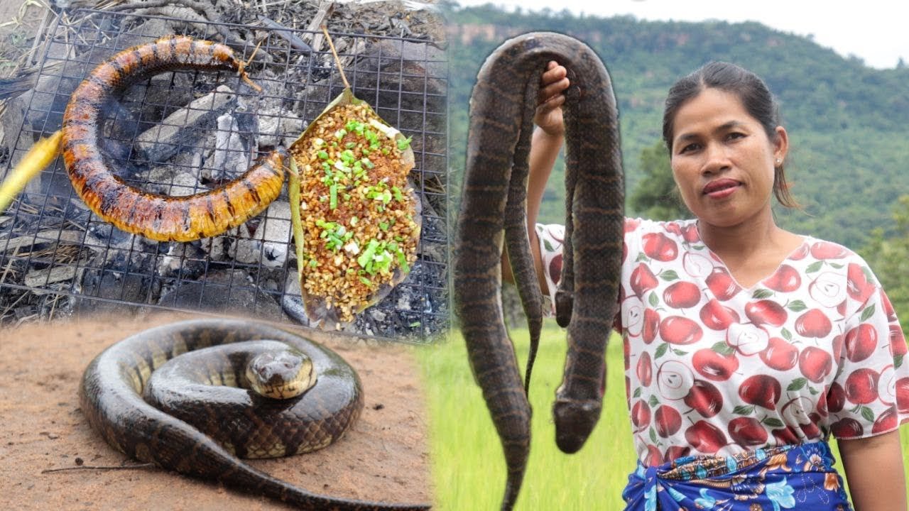 Snake sausage recipe and eat YouTube