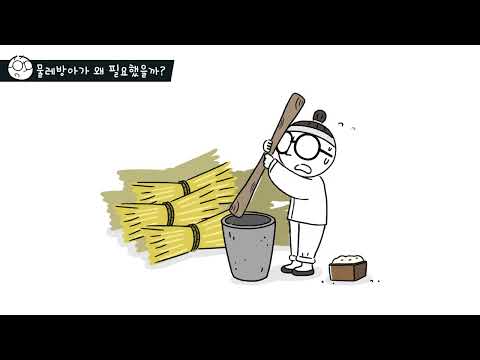 안다과학 5호3단계4주 탐구하기