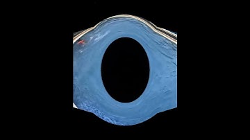 Minh Hà (2/2, NH 2022-2023) - Trường Tiểu học Giồng Ông Tố, Tp Thủ Đức