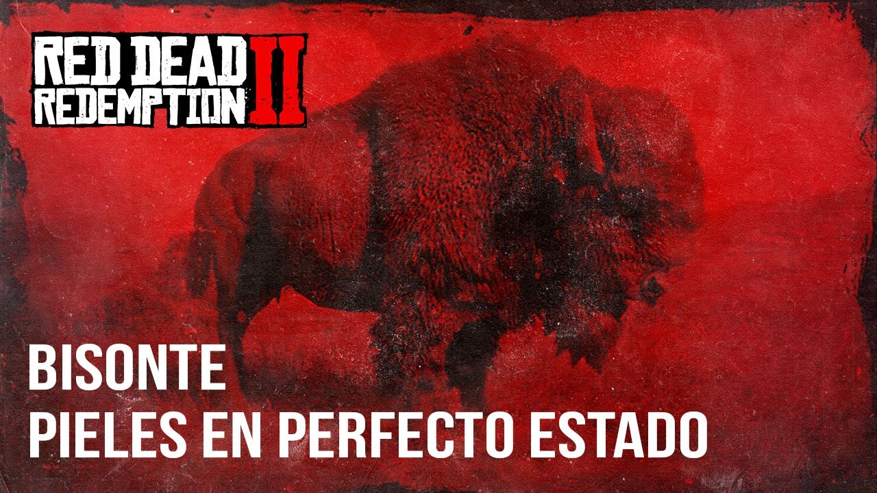 Red Dead Redemption 2 - Bisonte Piel en Perfecto Estado - YouTube