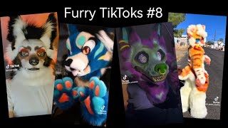 Furry TikTok Compilation #8