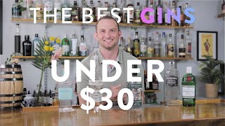 The Best Gin Brands Under $30 by Liber & Co. 7,558 views 2 years ago 7 minutes, 21 seconds