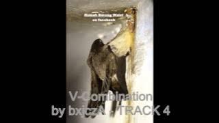 V Combination by bxjczA   TRACK 4