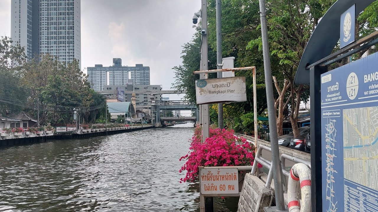 เดินพินิจพิจารณา 