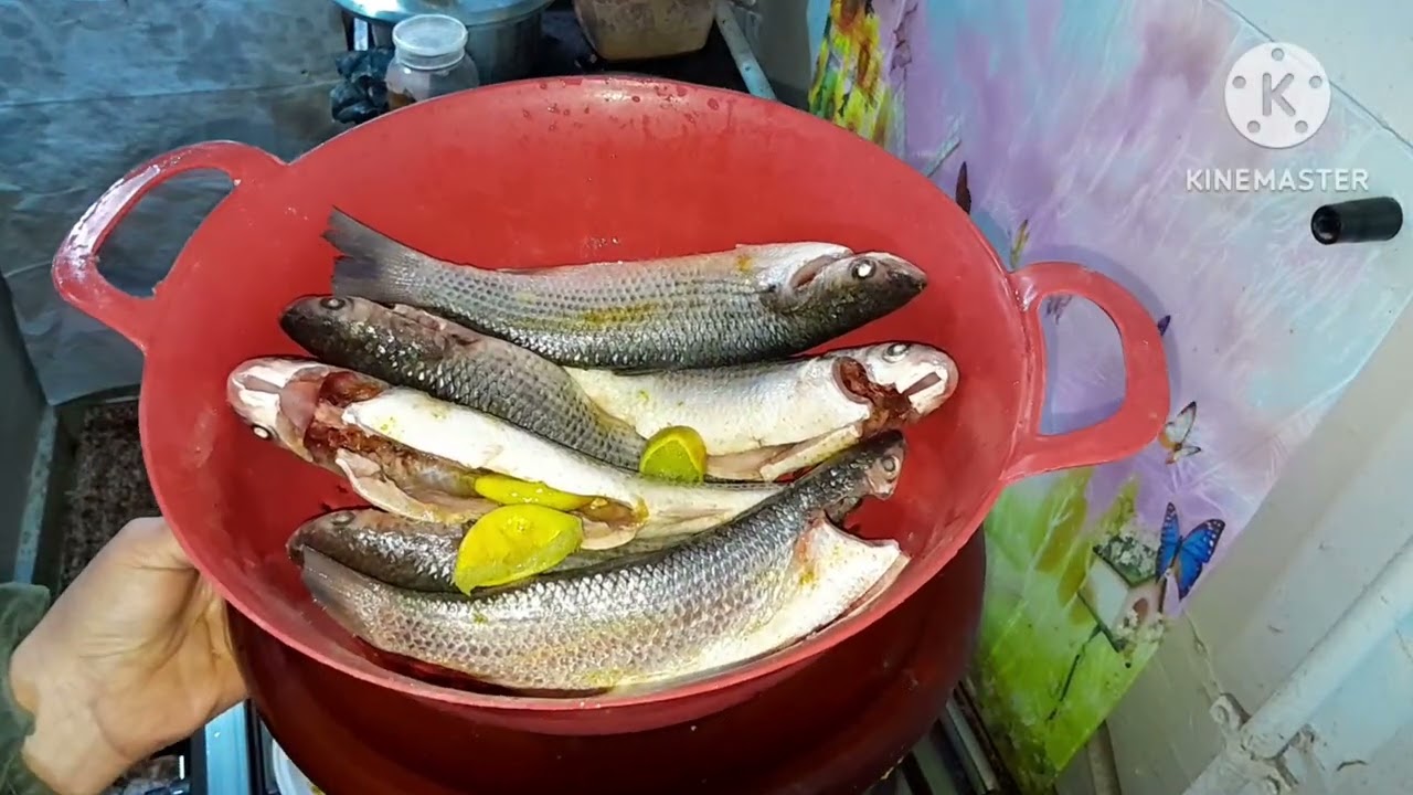 احلى طريقه👌 السمك البوري👍❤❤❤