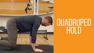 The Quadruped Hold | How To Build Strength With Plank Progressions and Variations