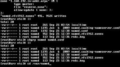 DNS Server Configuration in RHEL 5 (www.wtuto.com)