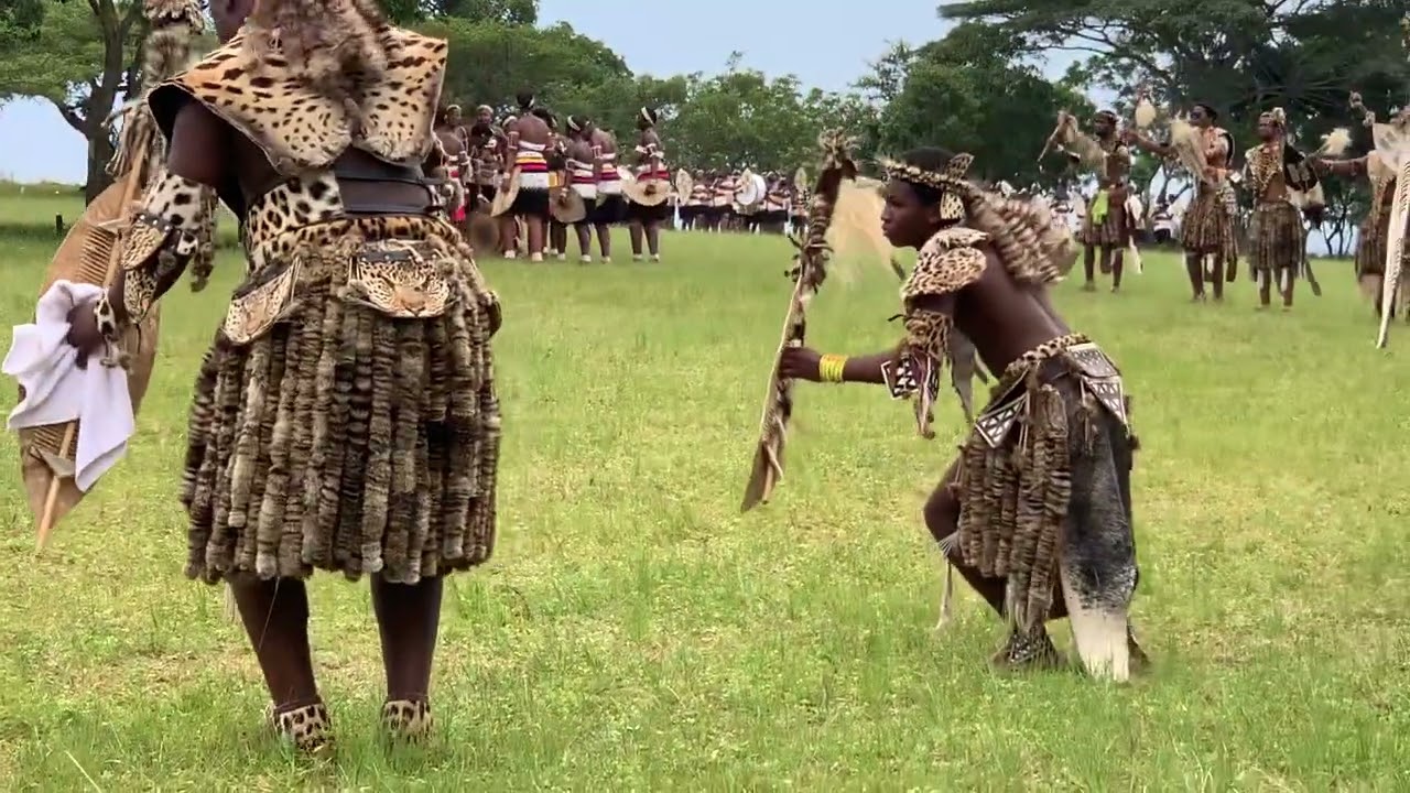 Injobo ingenisa ulayini