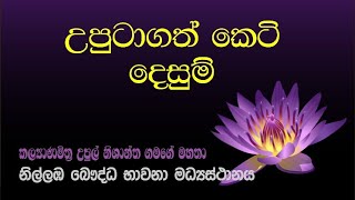 02. යුතුකම් වගකීම් ඉටුකරමින් භාවනා කල හැකිද? | උපුටාගත් කෙටි දෙසුම් | Nilambe