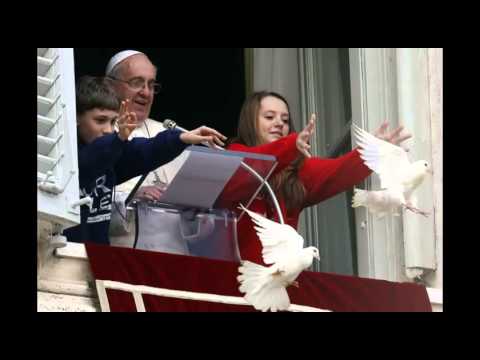 Le colombe di Papa Francesco attaccate da corvo e gabbiano