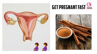 Natural remedy to get pregnant, Boost Egg quality and conceive fast