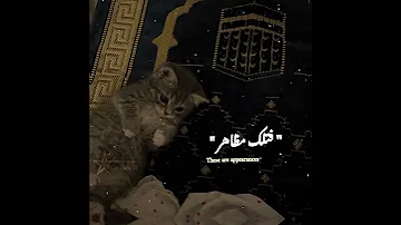 لا لا لانحتاج المال كي نزاد جمالها بدون موسيقى 𝐟𝐨𝐥𝐥𝐨𝐰 𝐦𝐞 𝐓𝐀𝐆𝐒 Foryou 