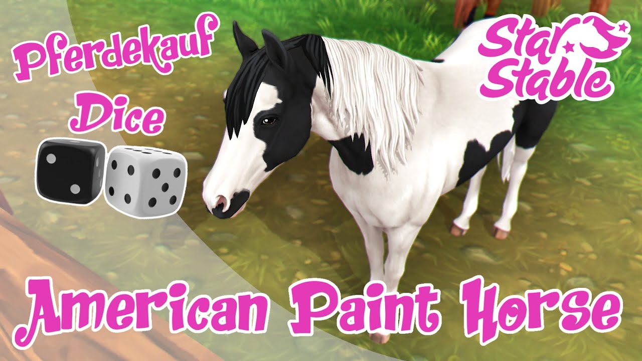 Star Stable [SSO] Pferdekauf Das American Paint Horse Remake (Dice) YouTube