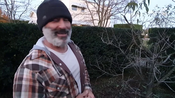 Protecting your stone fruit trees with a copper spray