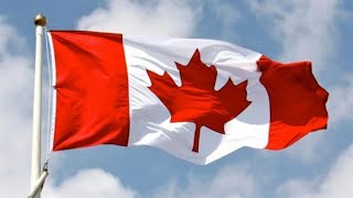 شرح خطوات طلب اللجوء لليمنيين في كندا بالتفصيل الجزء الاول
