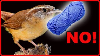 Dos and Dont's of Giving Birds Nesting Materials!