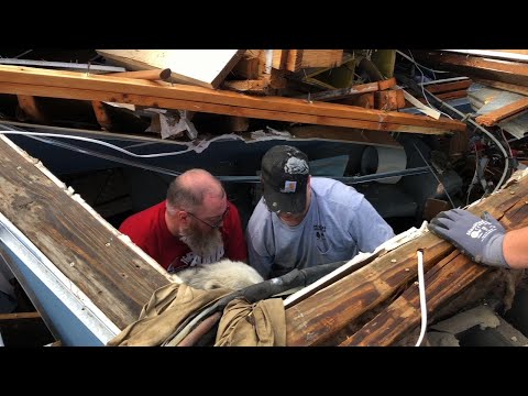 Dog rescued from tornado-damaged home in Alabama