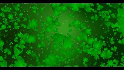 Shamrock four leaf Clover Infinity Loop | Motion Graphics - Videohive template