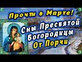 Молитвы на Март - Сны Пресвятой Богородицы От всех Порч и Негатива ✝ ☦ Знахарь-Кирилл 🧙‍🙏