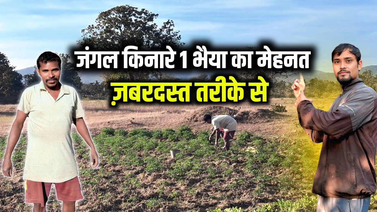 Jungle Kinare 1 Bhaiyaa Ka Jabardast Tarike Se Mehnat 🤔 | Bhout Sandar View Jungle Kinare 🤗 |