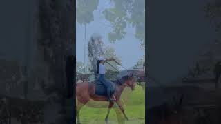 Download Lagu Wit-witan do ngingeti #bellabonita #kalihwelasku #dennycaknan MP3 Download Lagu Wit-witan do ngingeti #bellabonita #kalihwelasku #dennycaknan MP3