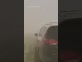 Illinois pileup blinding dust storm leads to dozens of crashes
