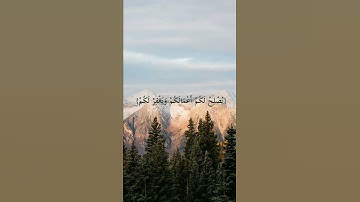 (يَا أَيُّهَا الَّذِينَ آمَنُوا اتَّقُوا اللَّهَ)القارئ عبدالله الموسى