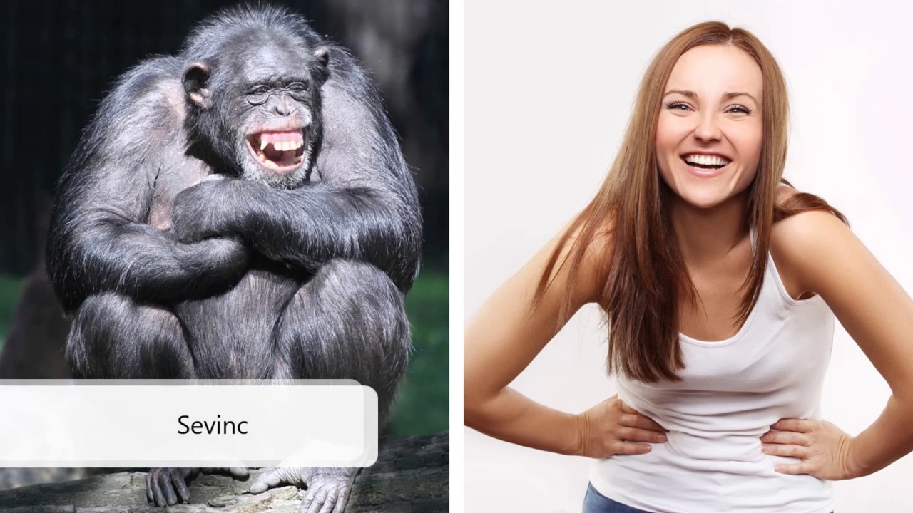 Biologiya 6-cı sinif 5. İnsanın təsnifat sistemində yeri