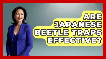 Are Japanese Beetle Traps Effective? - Insects and Invaders