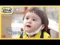 새우 머리가 없어 고민인 벤틀리 [슈퍼맨이 돌아왔다/The Return of Superman] 20200503