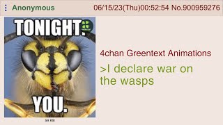 Anon Starts War Against Wasps  | 4chan Greentext Animations