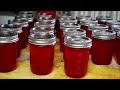 Canning Watermelon Jelly Canning Watermelon Jelly