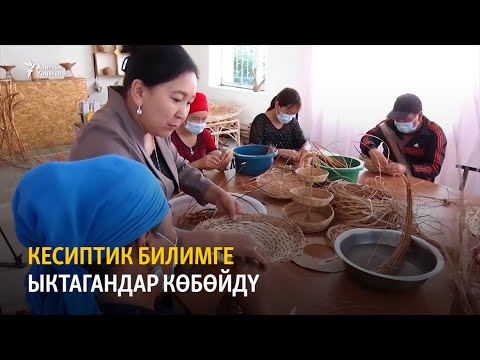 Video: Канадалык Кесиптик натыйжалуулук өлчөөсү кандай бааланат?