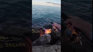 Primo serra della stagione sulla combo ceana 15/60 + freams 5000!Aspettando il big😈 #bluefish