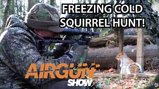 The Airgun Show | Hunting squirrels in winter | H&N Baracuda pellet review