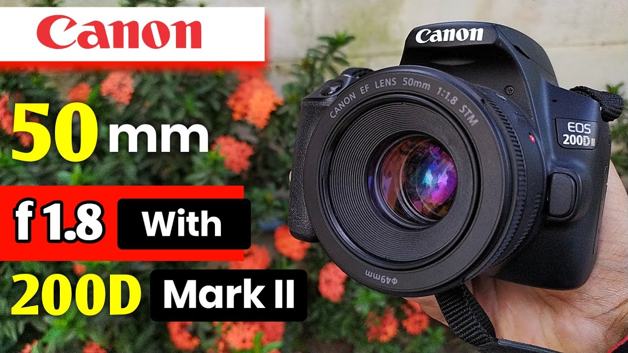 Canon 200d Mark Ii 4k Dslr Unboxing With Awesome Photo And Video Samples Youtube