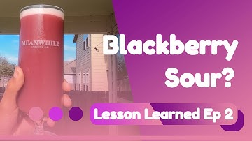 Blackberry Sour??? - Lesson Learned Ep 2 - Grain to Glass