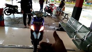 SLEEP ENGINE 200 CC EKSPERIMEN MASUK POM NANYAIN BENSOL