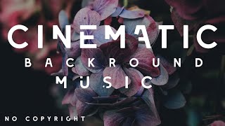 Acoustic breeze - Cinematic Music No Copyright | Nature Simple Light Happy Wedding Love