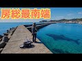 日本で僅か4か所しかないクジラが回遊する規格外の大物が狙える房総最大級の希少な釣りスポットはここ!