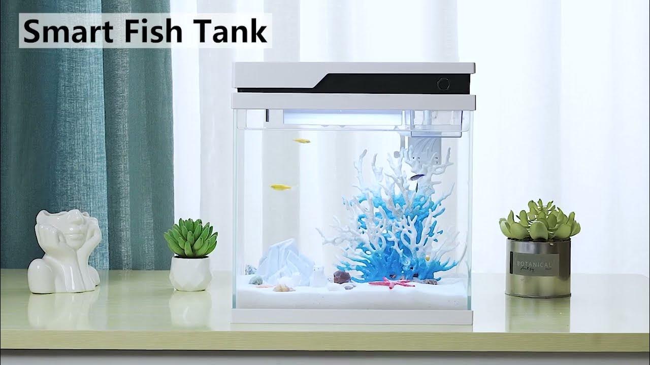PONDON Smart Fish Tank, 4 Gallon Glass Aquarium Kit w/ Automatic Fish