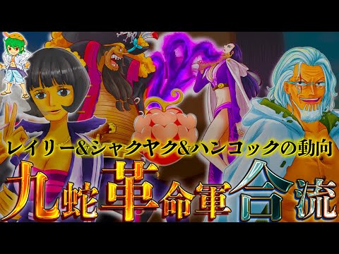 黒ひげ&海軍から"メロメロの実"を守れ...レイリー&シャクヤク&ハンコックの今後を徹底考察...※考察&ネタバレ注意【ONE PIECE 1067話】【やまちゃん。】