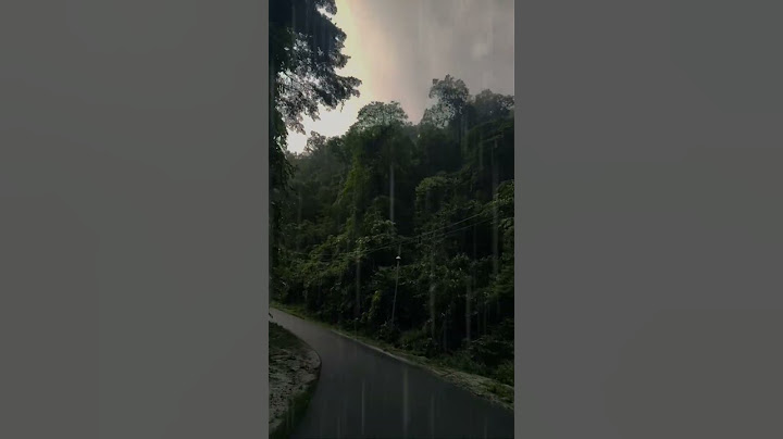 alam yang indah dan  penuh dengan pohon yang banyak